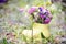 Shoe vase with colorful forest flowers