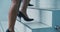 Shoes, business and women walking on steps in an office for corporate, professional or executive success closeup