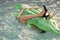 Shoes from crocodile leather. woman on sea with inflatable mattress. female legs hold mattress in swimming pool. Fashion