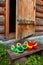 Shoes fabulous creatures standing on the threshold of a wooden house near the open door