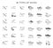 Shoes, footwear, collection, set outline, dresign, fashion, white background