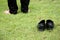 Shoes grass