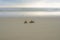 shoes of a man at sunset at the beach