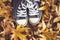 Shoes nature fashion, nature, natural with nature leafs