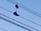 Shoes on the Wire