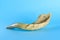 Shofar horn on blue background.