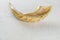 Shofar horn on white background.