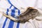 Shofar (horn) on white prayer talit. room for text. rosh hashanah (jewish holiday) concept . traditional holiday symbol.