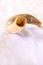 Shofar (horn) on white prayer talit. rosh hashanah (jewish holiday) concept . traditional holiday symbol.