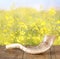 Shofar (horn) on wooden table. rosh hashanah (jewish holiday) concept . traditional holiday symbol.