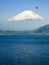 Shoji Lake, Mount Fuji, flying bird, Japan