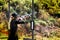 Shooter from a gun practicing shooting on plates in nature