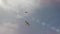 Shooting from below the beautiful flight of two charming gulls in the blue sky against a background of clouds and sun