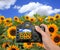 Shooting a Photograph in a Sunflower Field