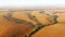 Shooting from a quadcopter flying over the golden field and agricultural lands. Filmed in 4k, drone video