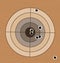 Shooting range target with bullet holes