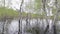 Shooting from the river during the spring flood