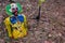 Shooting Target Destroyed Colorful Scary Clown Woods