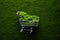 Shop cart with moss on nature background. Green Friday sale, Earth Day, Environment and Eco concept, healthy lifestyle, zero waste