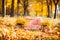 Shop with an orange scarf and flowerpots with yellow chrysanthemums in the autumn