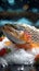 Shop showcase Icy presentation of frozen trout fish