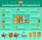 Shop, supermarket infographic