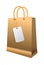 Shopping bag with paper handles