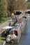 Shopping from boats on an English canal at Newbury, UK