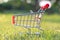 Shopping cart