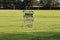 A shopping cart abandoned in a park during summer