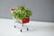 Shopping cart with arugula shoots, microgreen sprouts on white table on gray wall background