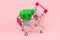 shopping cart with cactus