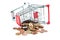 Shopping Cart with coins V5