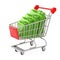 Shopping Cart with Fuel Jerrycans. 3d Rendering