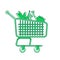 Shopping cart green linear object. Trolley with products