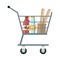 Shopping Cart with Products