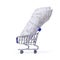 Shopping cart with receipts