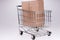 Shopping cart and shipping carton package