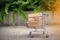 Shopping concept, Mini trolley and wooden block in outdoor garden