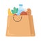 Shopping paper bag with meat bread banana, grocery purchases
