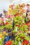 Shopping row with potted flowers at a street flower fair during the flower festival