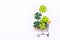 Shopping trolley with four-leaf clover on whte background. Copy