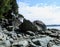 A shore along the west coast trail with huge rocks. This is a difficult portion of the hike that requires climbing