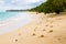 Shore of an azure, turquoise, blue lagoon. Heaps of sand near crab hole minks. Waves, swash at empty beautiful sandy beach. Tonga.