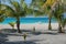 Shore coconut trees beach recliner and lagoon