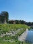 The shore of the Dock pool in the Summer Garden of the city of Kronstadt against the background of a cloudless sky