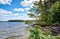 Shore with fallen trees in the lake on Zippendorfer Strand, Schwerin - Mecklenburg Vorpommern, Germany