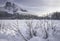 The Shore of Frozen Emerald Lake