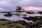 Shore in Hilo, Hawaii at sunrise. Rocky shore, trees, rocks offshire, clear water. Cloudy sky.