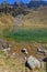 On the shore of Lake Claret in Belledonne